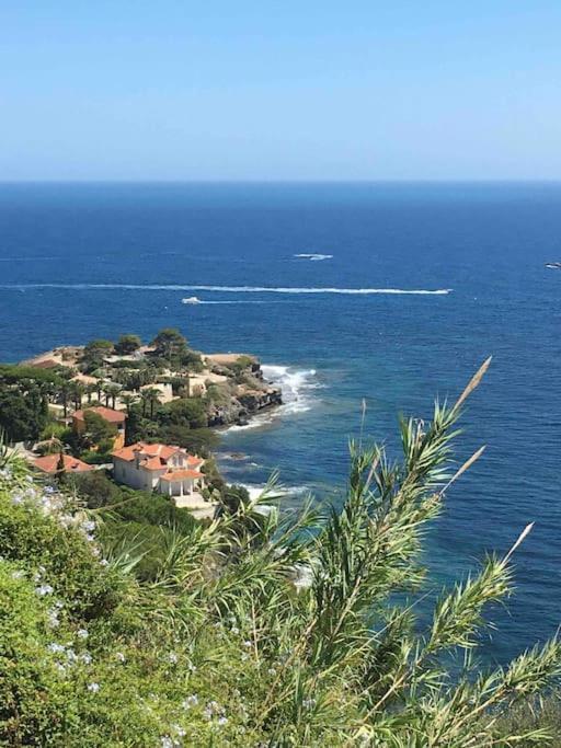 Vue Mer Incroyable Aux Portes De Monaco Cap-d'Ail Buitenkant foto
